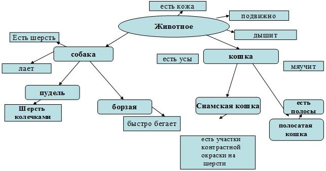 Дипломная работа: Особенности лексической стороны речи у детей 5-6 лет со стертой дизартрией